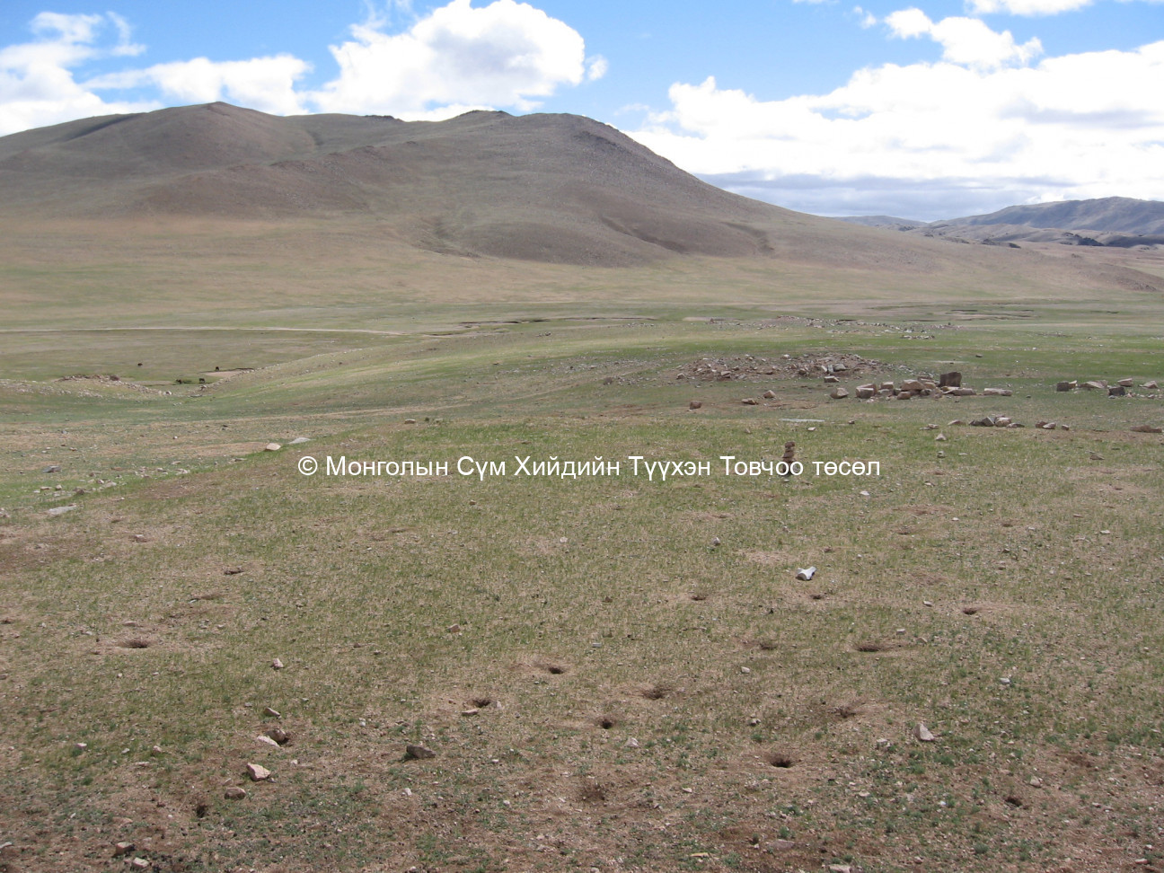 Хойд талаас авсан